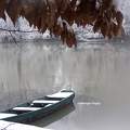 Les Bords du Loiret sous la neige