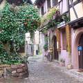 Eguisheim - Alsace- France