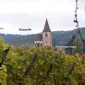 Hunawihr  - Alsace - France