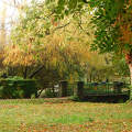 Balatonfűzfő, ősz, Dr.kert, híd