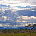 Samburu Nemzeti Park, Kenya