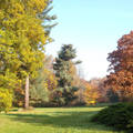 Szarvas - Arborétum  ( Pepikert ) - Őszi táj.     fotó: Kőszály