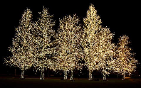 fa karácsony karácsonyi dekoráció éjszakai képek