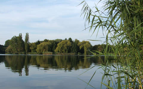 Lőrintei tó, Magyarország