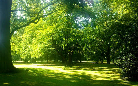 kertek és parkok