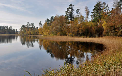 nád tó tükröződés ősz