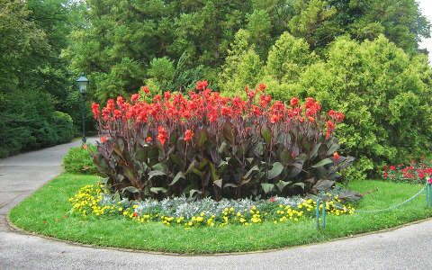 Baden bei Wien, Rosarium