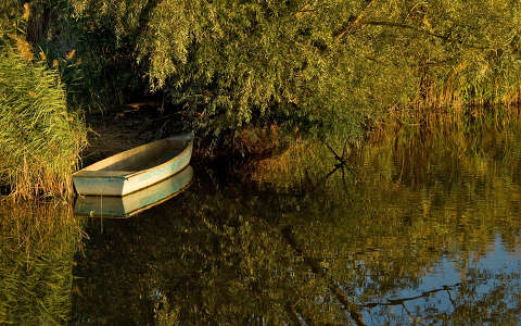 csónak tó tükröződés ősz