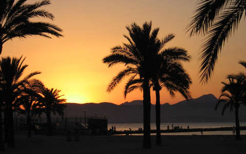 naplemente pálma spanyolország
