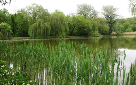 Somogyvár - Széchenyi kastély park