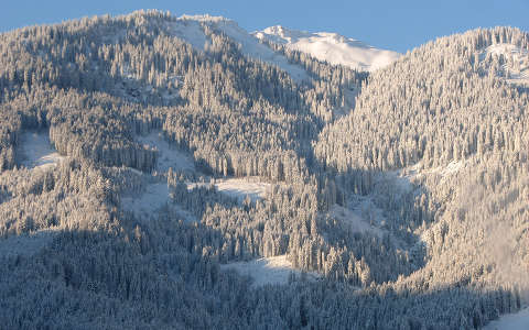 alpok erdő hegy tél