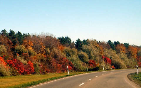út ősz