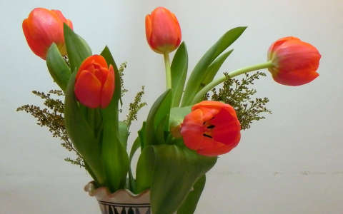 névnap és születésnap tavaszi virág tulipán virágcsokor és dekoráció