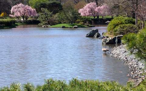 Tavaszi japánkert