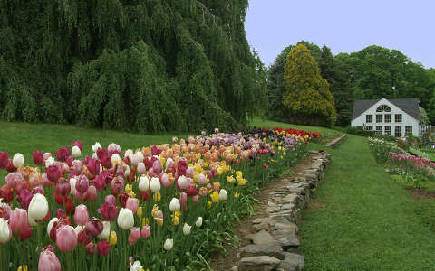 címlapfotó ház kertek és parkok tavasz