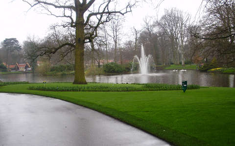 Keukenhof, Hollandia