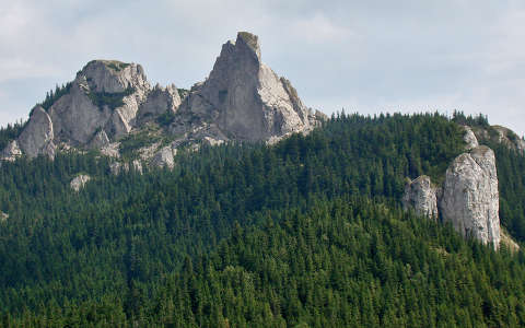 erdő hegy kövek és sziklák
