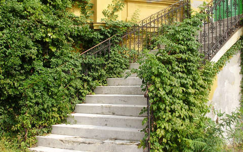 lépcső