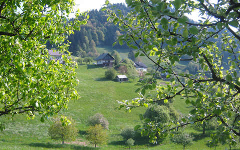 Szlovénia