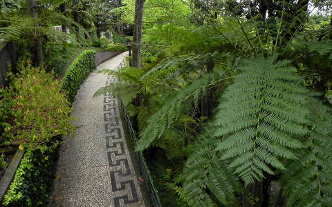 Monte Palace Trópusi kertben, Funchal, Madeira