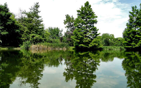 mosonmagyaróvári tó(Orbán Márk)