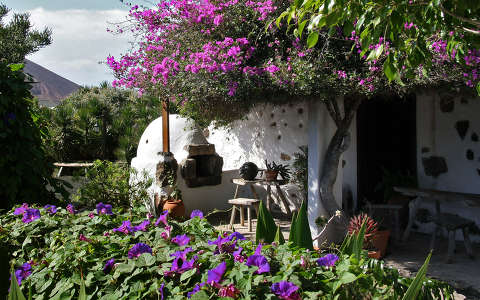 Ház virággal, Lanzarote, Kanári-szigetek
