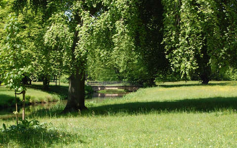 fa kertek és parkok patak