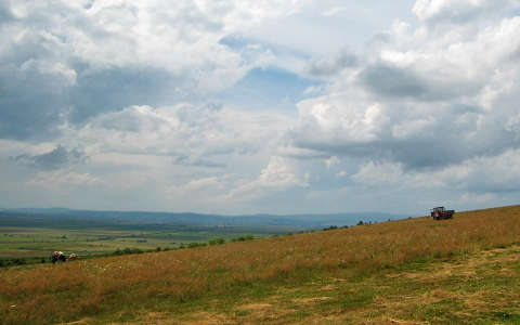 Óriáspincetető, Maksa, Erdély