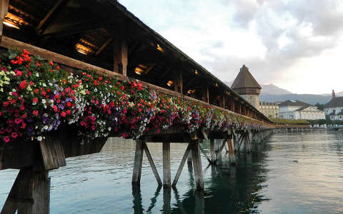 Luzern virághíd