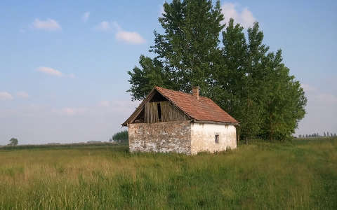 fa ház