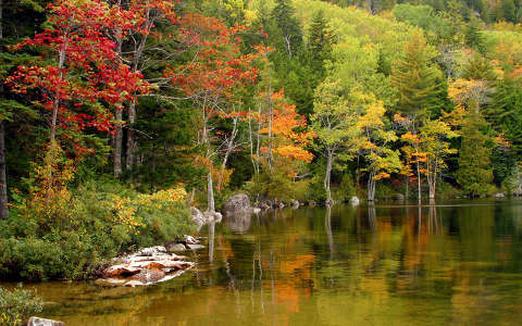 címlapfotó erdő tó tükröződés