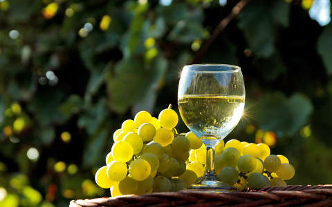 bor gyümölcs ital szőlő