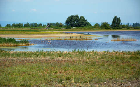 Fertő tavi hangulat
