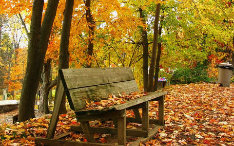 címlapfotó kertek és parkok pad ősz