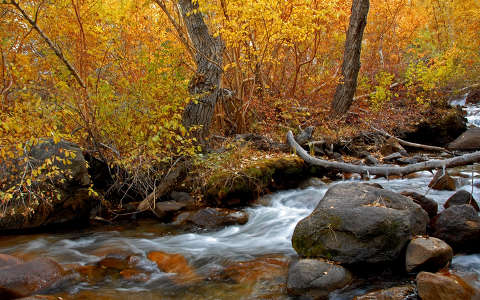 erdő kövek és sziklák patak ősz