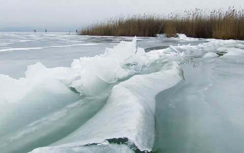 jég nád tél tó