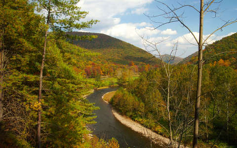 erdő folyó hegy ősz