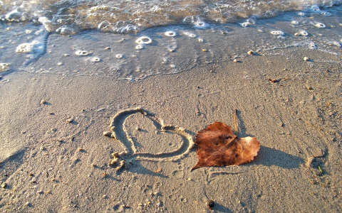 címlapfotó levél tengerpart valentin