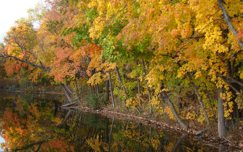címlapfotó erdő tükröződés ősz