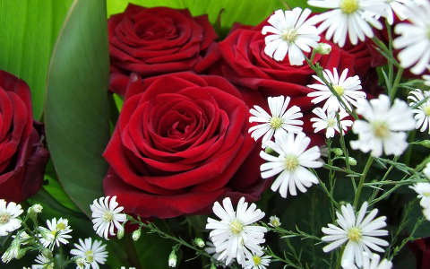címlapfotó névnap és születésnap rózsa virágcsokor és dekoráció