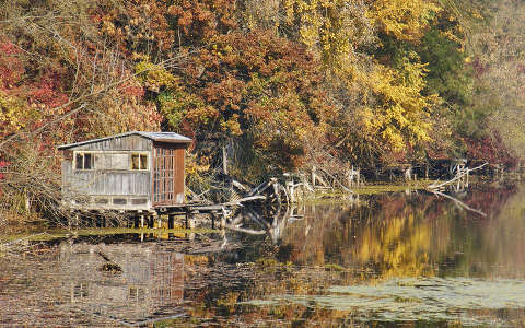 erdő tó tükröződés ősz