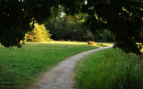 Vácrátót, Arborétum, Magyarország