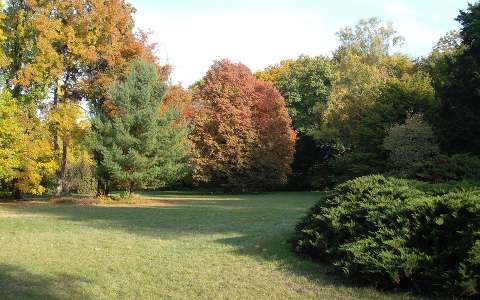 Szarvas- Arborétum- őszi parkrészlet- fotó: Kőszály