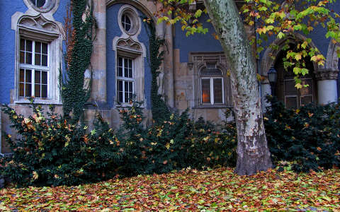 ablak címlapfotó ház ősz