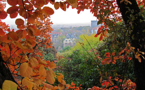 ablak címlapfotó ősz