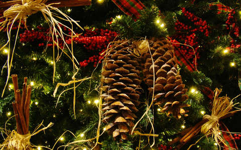 karácsony karácsonyfa karácsonyi dekoráció toboz