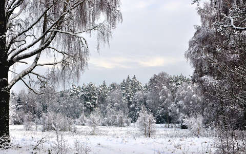 Tél Svédországban