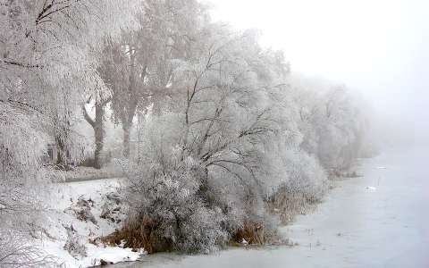 Tél a Ferenc-csatornánál, Dávod, Magyarország