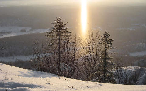 címlapfotó fenyő fény tél