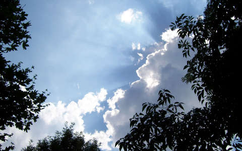 felhő